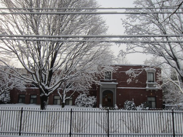 Wonderland Outside Our Front Porch