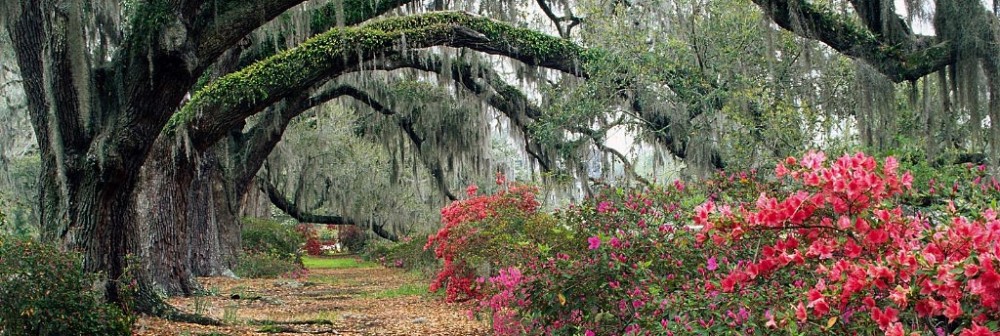 Like Mendicant Monks…