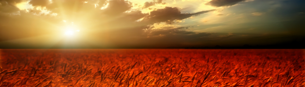 Like Mendicant Monks…