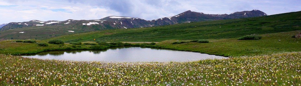 Like Mendicant Monks…