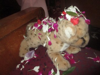 26505814030_eb943bb4ba_k