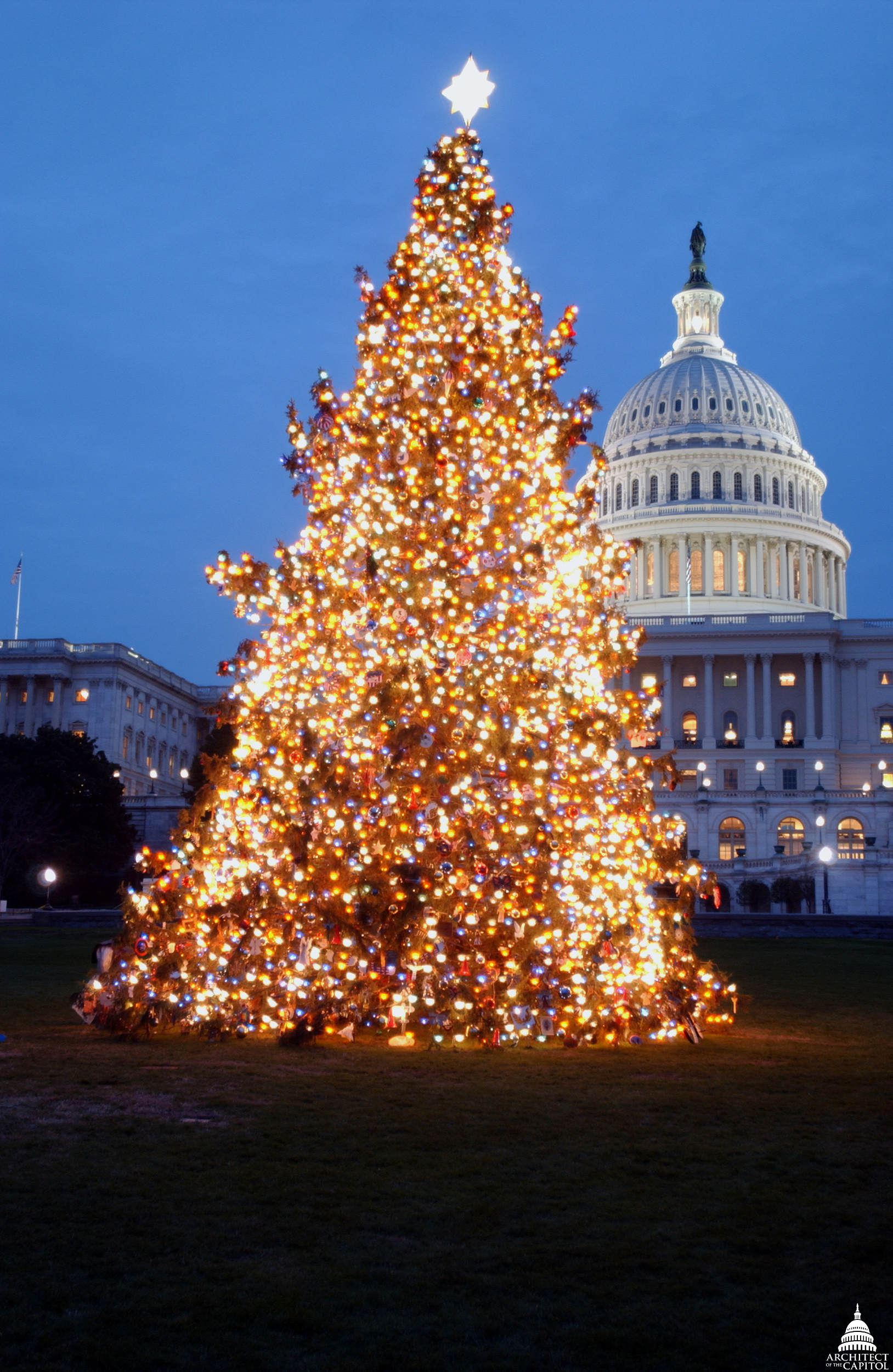 31657782822_84d1ed5f32_o