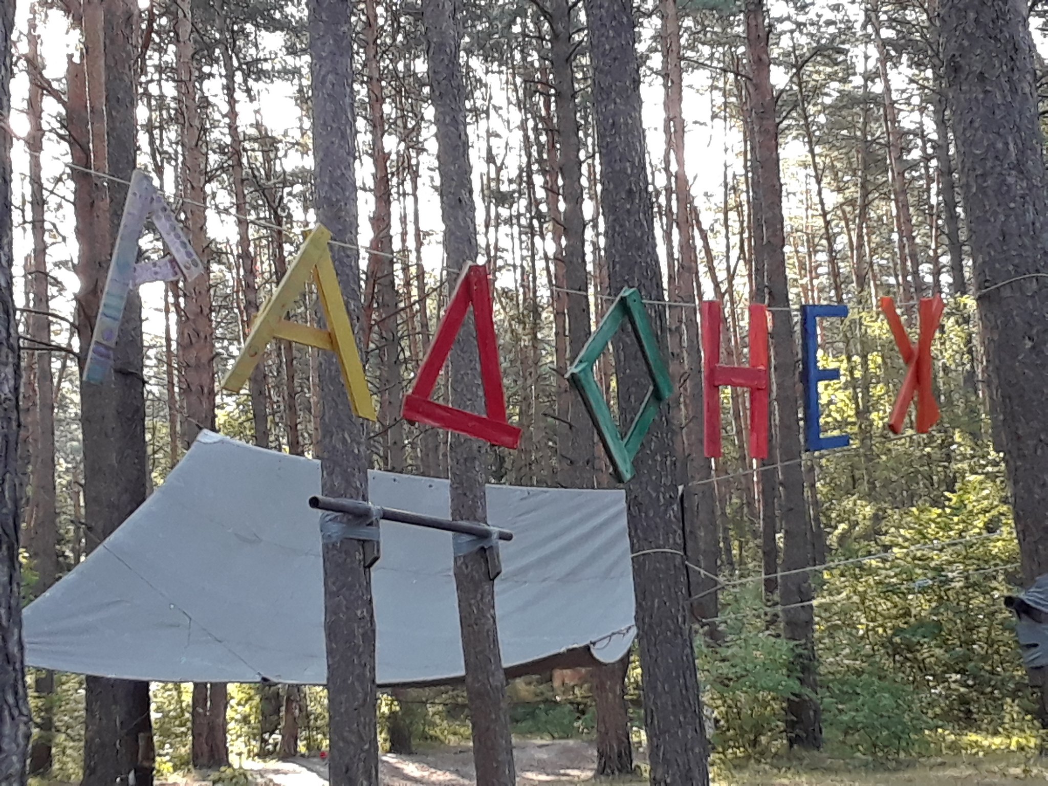 48205061766_f6f90aef5c_k