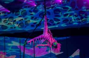 8cc2c6ec29b7e9708ace04b9eccc3c5a