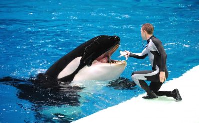 narnia_governmentofrussia-1024x632